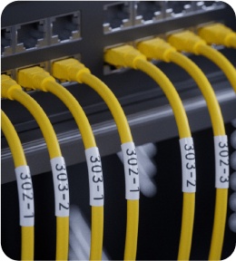 ملصقات الأفلام الواقية الملفوفة